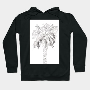 Palm Tree Ink Illustration Hoodie